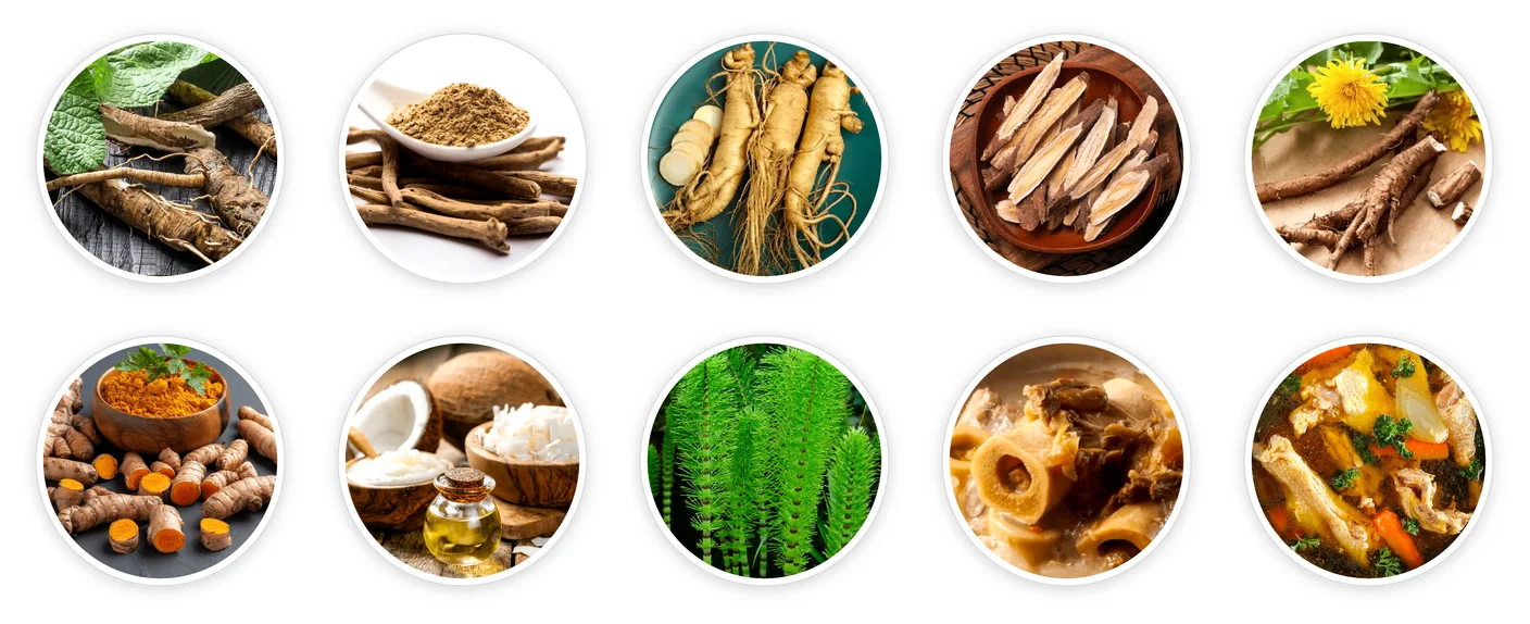 The ten UltraK9 Pro ingredients: burdock, ashwagandha, ginseng, astragalus, dandelion, turmeric, MCT oil, horsetail, bovine collagen and chicken bone broth