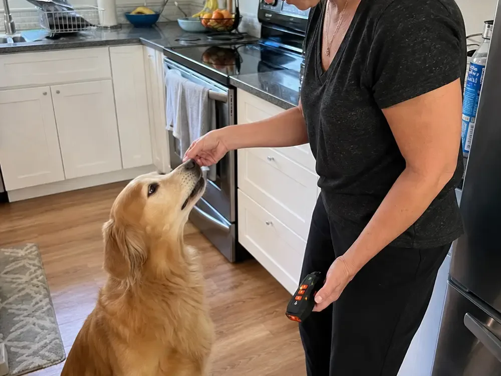 Owner rewarding a sitting dog after using WoofAway